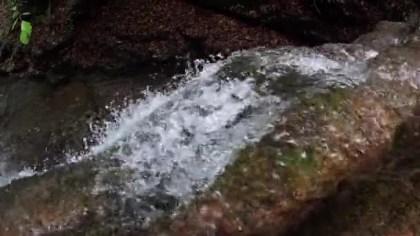 Patak Lombhullató Erdőben Patak Torrent Víz Tiszta Víz Albavilla Lombardia — Stock videók