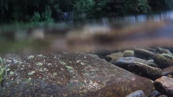 Margem Rio Abaixo Acima Água Rio Lambro Itália — Vídeo de Stock