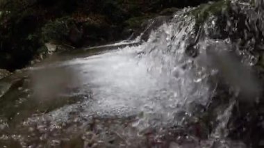 yaprak döken orman, dere, sel, su, berrak su, Albavilla, Lombardia, İtalya dere