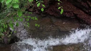 yaprak döken orman, dere, sel, su, berrak su, Albavilla dere,