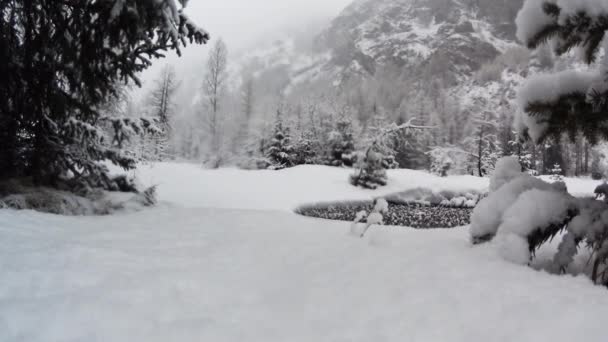 Fotógrafo Colocado Trípode Campo Montaña Nevado Montaña Parque Nacional Gran — Vídeo de stock