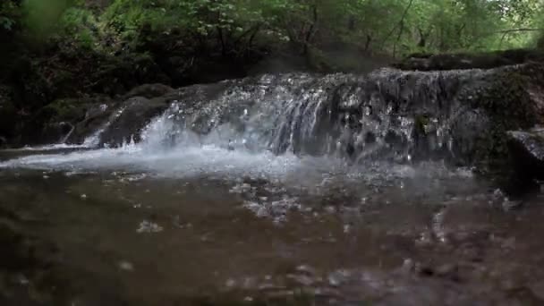 Ручей Лиственных Лесах Ручей Ручей Вода Чистая Вода Альбавилла Ломбардия — стоковое видео