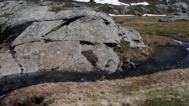 Torrente Montagna Durante Scongelamento Torrente Torrente Acqua Prateria Alpina Scioglimento — Video Stock