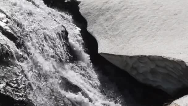 Torrent Montagne Pendant Dégivrage Torrent Ruisseau Eau Praire Alpin Fonte — Video