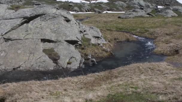 Gunung Torrent Selama Defrost Torrent Sungai Air Alpine Praire Lelehan — Stok Video