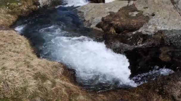 Gebirgsbach Beim Auftauen Wildbach Bach Wasser Alpine Prärie Schmelze Landschaft — Stockvideo