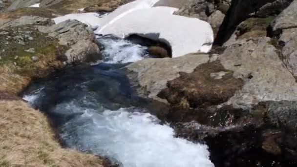 Горный Поток Время Размораживания Потока Ручья Воды Альпийской Равнины Таяния — стоковое видео