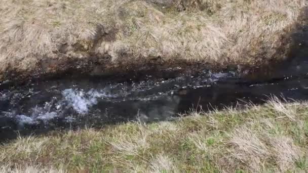 Torrente Montagna Durante Scongelamento Torrente Torrente Acqua Prateria Alpina Scioglimento — Video Stock