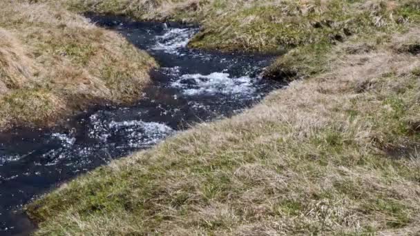 Bergstroom Tijdens Ontdooiing Beekje Water Alpine Praire Smelten Landschap — Stockvideo