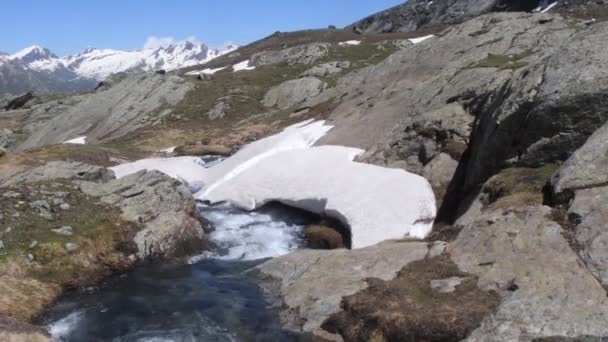 Torrente Montagna Durante Scongelamento Torrente Torrente Acqua Prateria Alpina Scioglimento — Video Stock