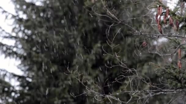 Сніжна Погана Погода Національний Парк Гран Парадісо Валле Аоста Італія — стокове відео