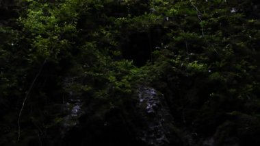 Yansıma, dere, Rakov kocjan Peyzaj Parkı, çevre, manzara, doğa, doğal, kaya, Slovenia, doğal park, 