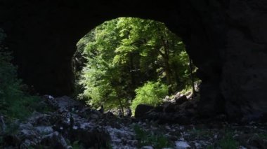 Kaya kemeri, Rakov kocjan Peyzaj Parkı, köprü, mağara, çevre, manzara, doğa, doğal, kaya, taş,