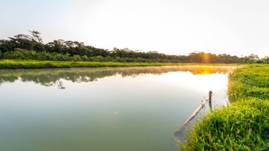 Yapacani, Bolivya 'da Tambaqui ve Pacu (Serrasalmus) Balık Çiftliği