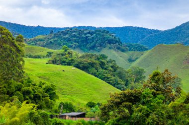 Dağlarla çevrili manzara, Küçük bir Çiftlik ve İnekler Otlatıyor