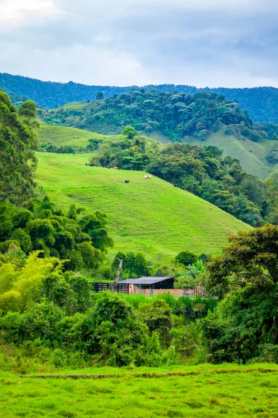 Paisagem Rodeada por Montanhas, Pequena Fazenda e Vacas — Fotografia de Stock