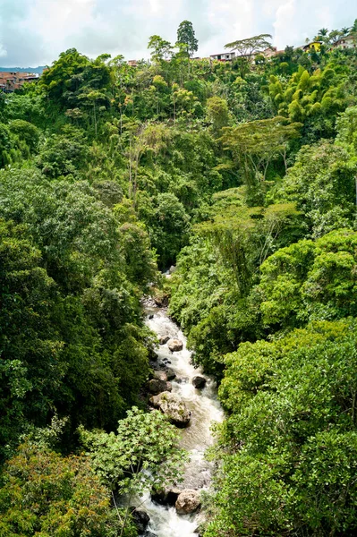 Jardín, Colombia. Río en medio de la vegetación —  Fotos de Stock