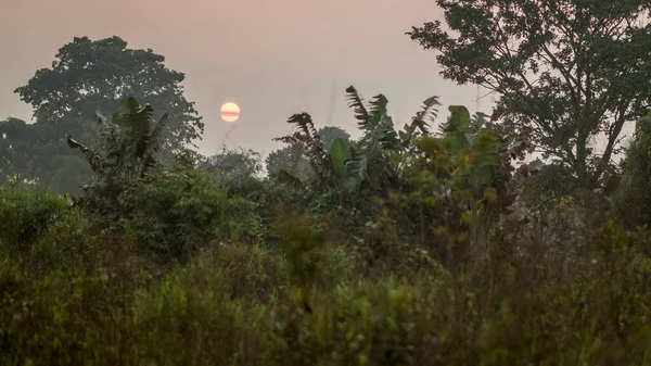 Bei Sonnenuntergang scheint die Sonne durch eine dünne Wolke, die sie bedeckt, in zwei Hälften geteilt. rund um die Landschaft ist voller Bäume, Pflanzen und viel Vegetation. — Stockfoto