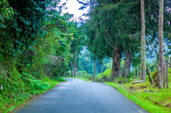 Estrada de Asfalto Atravessando Montanhas e Bela Floresta em Jardn, Antioquia, Colômbia — Fotografia de Stock