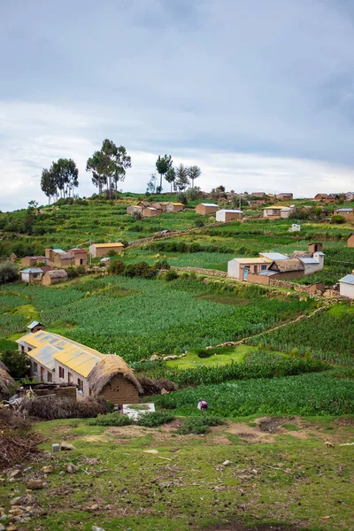 Picturesque Challa Village With Fava Bean and Potato Campo in Sun Island (Isla Del Sol), La Paz, Bolivia — стоковое фото