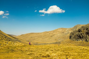 La Paz, Bolivya, Sarı ve Kuru Çimen Manzarası 'nda Yürüyüş Lamas Vadisi (Valle de las Llamas)