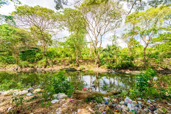 Πράσινες όχθες του ποταμού με δέντρα γεμάτα σκουπίδια και σκουπίδια στην φτωχή γειτονιά El Cafe — Φωτογραφία Αρχείου