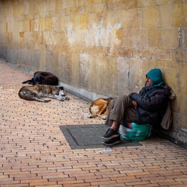 Bogota, Cundinamarca / Kolombiya - 8 Ağustos 2019: Üç Köpekle Kaldırımda Oturan Soğuk Evsiz Adam