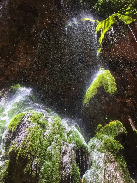 Vergel Waterfall Formed Fall Crystalline Water Coming Rocks Surrounded Ferns — Stock Photo, Image