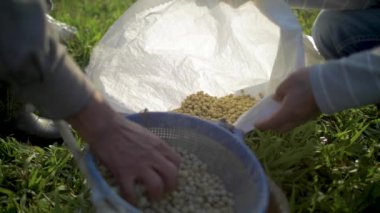 Yapacani, Santa Cruz / Bolivya 'da balık havuzlarında Tambaqui ve Pacu Balıkları için Dengeli Besin (Serrasalmus) Balık Çiftçileri