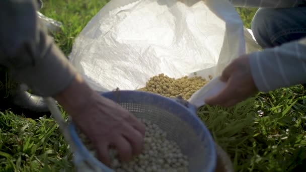 Pescaderos Cuidando Los Pellets Alimentos Equilibrados Para Los Peces Tambaqui — Vídeos de Stock