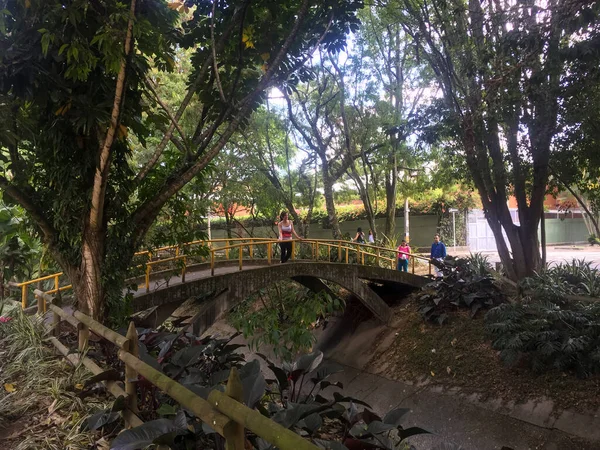 Medellín Antioquia Colombia Enero 2019 Puente Peatonal Cemento Sobre Río — Foto de Stock