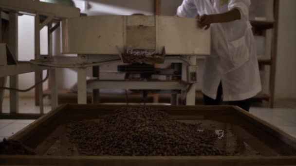 Mujer Traje Trabajo Máquina Instrumentos Para Producir Pasta Chocolate — Vídeos de Stock