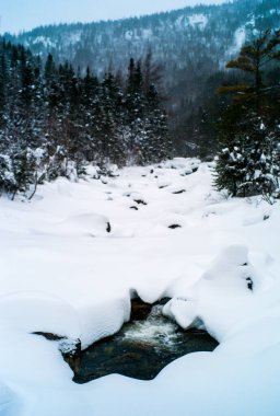 Soğuk Kışın Çam Ağaçlarıyla çevrili Karla kaplı Nehir Şık Çikolatalarda, Quebec / Kanada