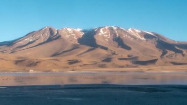 Bolivya 'nın Fantastik Uyuni Tuz Düzlüklerinde Dağın Ayağında Pembe Flamingolar
