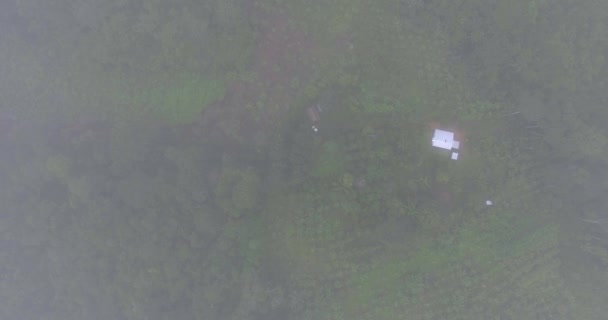 Nsansız Hava Aracı Yla Yukarıdan Sığır Ahırı Etrafını Ağaçlarla Bulutlu — Stok video