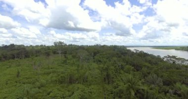 Bolivya Amazon 'unda Plastik Kova, Tahta Sopa ve Poşet ile Yürüyen Yerel Özelliklere sahip İki Erkek ve Kahverengi Kadın