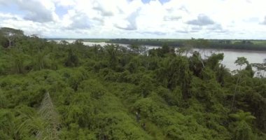 Bolivya Amazon 'unda Plastik Kova, Tahta Sopa ve Poşet ile Yürüyen Yerel Özelliklere sahip İki Erkek ve Kahverengi Kadın