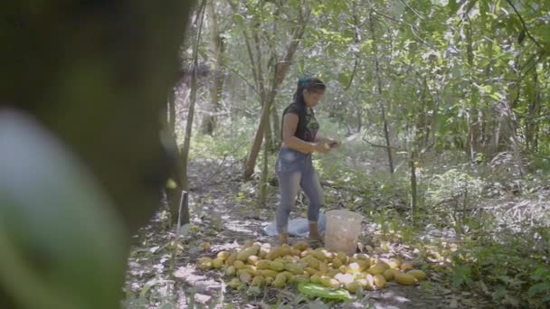 Pando Boliwia Marca 2018 Brązowa Kobieta Rodzimymi Cechami Wycinająca Wiele — Wideo stockowe