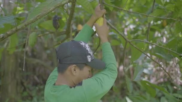 Pando Bolivia Marzo 2018 Joven Con Rasgos Indígenas Vestido Con — Vídeos de Stock