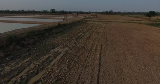 Yapacani Santa Cruz Bolivia Вересня 2017 Three Person Walking Field — стокове відео