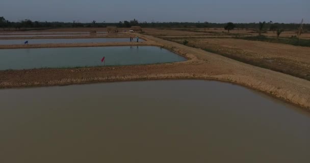 Yapacani Santa Cruz Bolivia 2017 Three Person Walking Field Tambaqui — 비디오