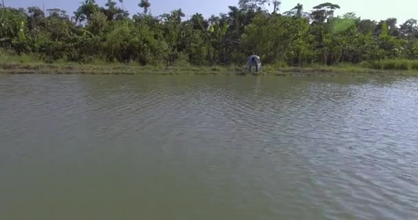 Yapacani Santa Cruz ボリビア 2017年9月3日 魚の池で手で泥の水をきれいにする — ストック動画
