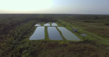 Bolivya Amazon 'unda Plastik Kova, Tahta Sopa ve Poşet ile Yürüyen Yerel Özelliklere sahip İki Erkek ve Kahverengi Kadın