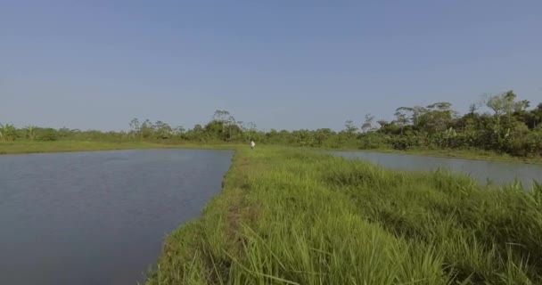 Yapacani Santa Cruz Bolívia Setembro 2017 Pescador Lança Comida Equilibrada — Vídeo de Stock