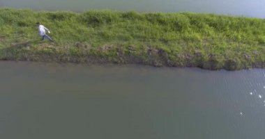 Yapacani, Santa Cruz / Bolivya - 3 Eylül 2017: Balıkçı Balık Göletleri 'ne Tambaqui ve Pacu Balıkları için Dengeli Yiyecek (Serrasalmus) attı