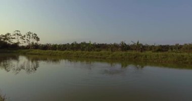Yapacani, Bolivya 'da Tambaqui ve Pacu (Serrasalmus) Balık Çiftliği