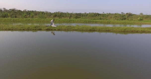 ヤパカニ サンタクルス ボリビア 2017年9月3日 魚屋がバッグの中の魚池でタンバキとパク魚のバランスの取れた食べ物を投げる — ストック動画