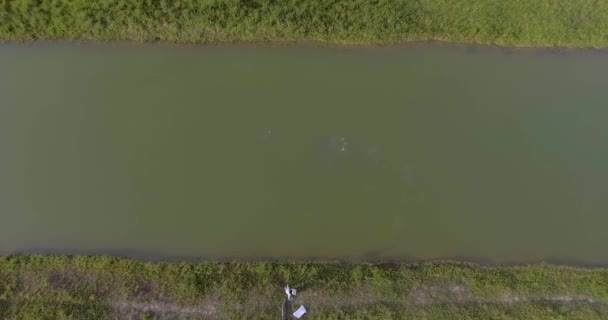 Yapacani Santa Cruz Bolivia Septiembre 2017 Pescador Arroja Comida Balanceada — Vídeos de Stock