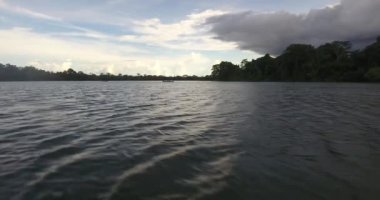 Riberalta, Beni / Bolivya - Mart 07 2017: Geniş Bitkilerle çevrili Nehirde Çocuklarla Aile