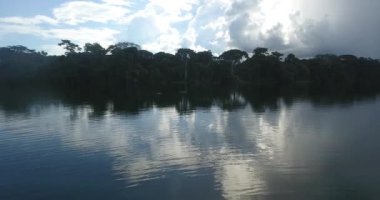 Nehir Riberalta, Beni / Bolivya 'da Kapsamlı Bitkilerle çevrili